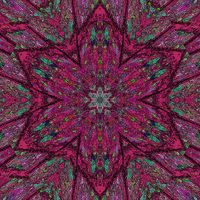 Star Mandala GIF