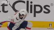 Happy Stanley Cup Playoffs GIF by NHL