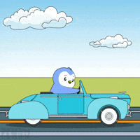 Travel Driving GIF by Pudgy Penguins