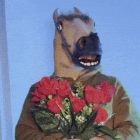 Horse What GIF by Luke Westen