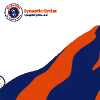 SynapticCycles synapticcycles synaptic cycles Sticker