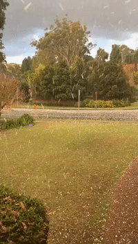 Storm System Brings Heavy Hail to Sydney Suburb
