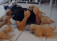 goals GIF