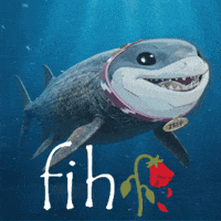 Jeff Fih GIF