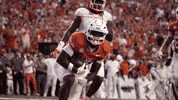 Football GIF by Texas Longhorns