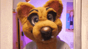 Oh My God Reaction GIF