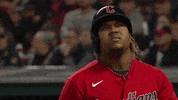 Mlb Postseason What GIF by MLB