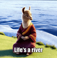 Wisdom Flow GIF by dalaillamazen