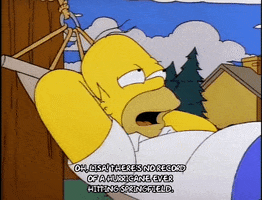 homer simpson GIF