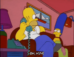 homer simpson GIF