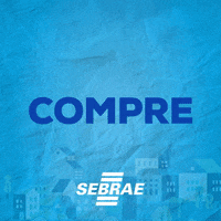 sebraemaranhao sebraedopiqueno GIF