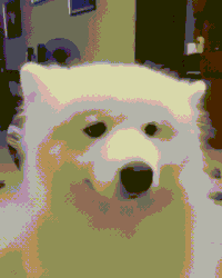 heart melts GIF