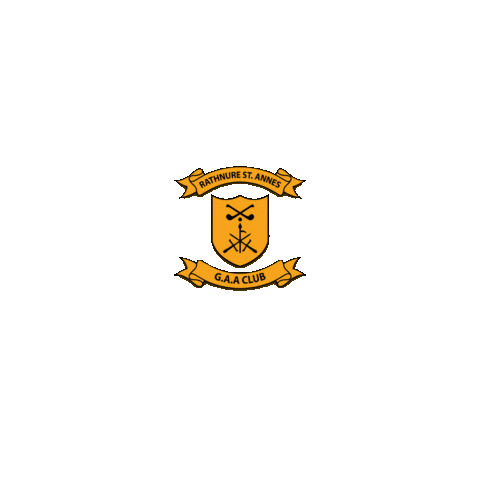 RathnureGAA giphyupload gaa hurling rathnure Sticker