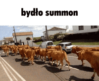 Bydlo Summon GIF