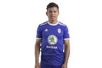 Clap Tleskat Sticker by FORTUNA:LIGA