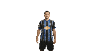 svwaldhofmannheim swipe up fussball jubel tor Sticker