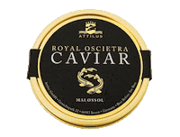 Attilus_caviar  Sticker