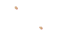 Slu Stlawrenceu Sticker by St. Lawrence University