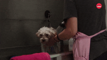 Grooming