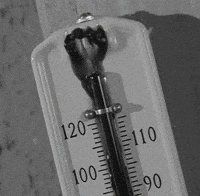 Sweating Heat Wave GIF