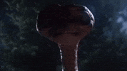 sci-fi et GIF by MANGOTEETH