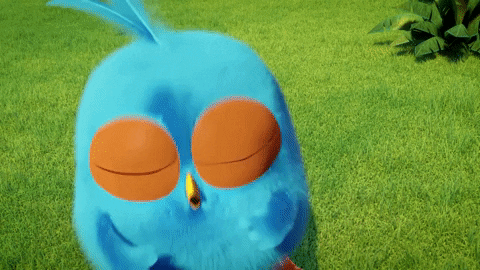 giphy.gif