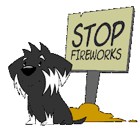 Celebration Fireworks Sticker
