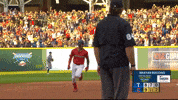 Sport Celebrate GIF by MLB