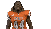Nfl Preseason Sticker by Carson-Newman Athletics