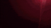 Dakota Johnson Film GIF by Sony Pictures Germany