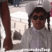 Dalbayop GIF