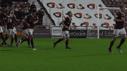 Football Celebration GIF by Heart of Midlothian