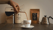 specialty coffee video GIF