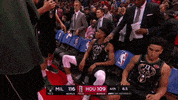 giannis antetokounmpo fist bump GIF by NBA