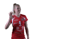 Sport Volleyball Sticker by LP Viesti