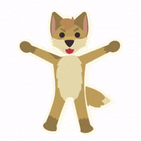 Spin Spinning GIF
