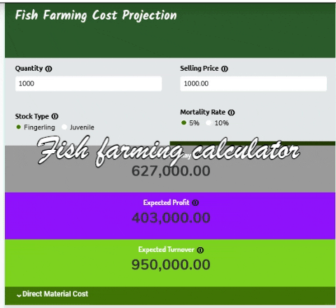 kmacims giphygifmaker startup cost for business startup cost for business calculator GIF