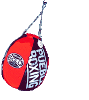 puebloboxingorg boxing boxeo punching bag pueblo boxing Sticker