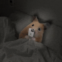 Night Bed GIF