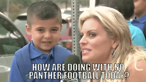 GIF by Carolina Panthers