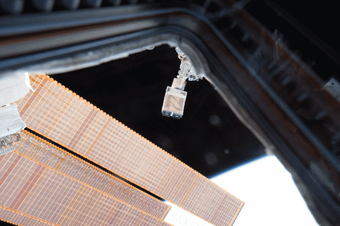 space earth GIF by NASA