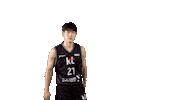 ktsonicboom_official basketball kbl 농구 kt소닉붐 Sticker