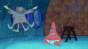 season 9 GIF by SpongeBob SquarePants