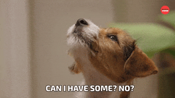Can I have some?