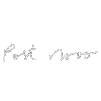 Lettering Novo Sticker