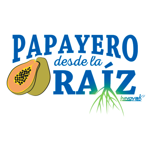Papaya Sticker by Innoval Global