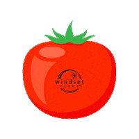 Tomato Sticker by Windset Farms