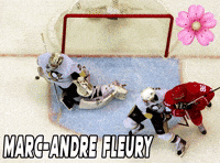 Pittsburgh Penguins Nhl GIF