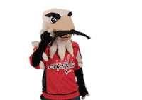 Ice Hockey Sport Sticker by NHL