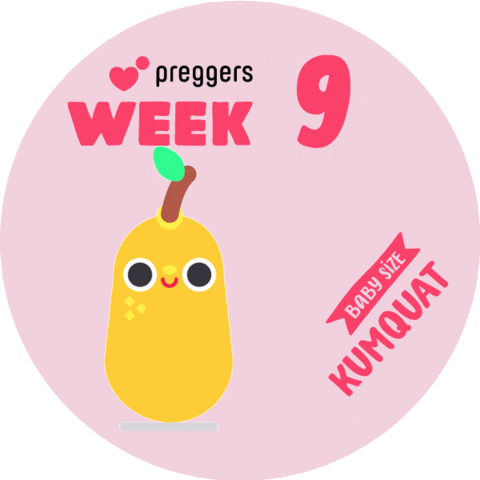 Baby Pregnancy Sticker by Preggers